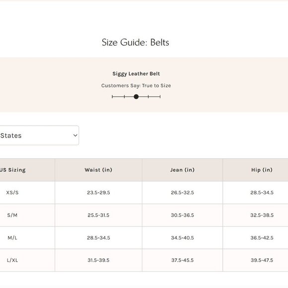 NWT Free People Siggy Leather Belt in Patina - Picture 4 of 4